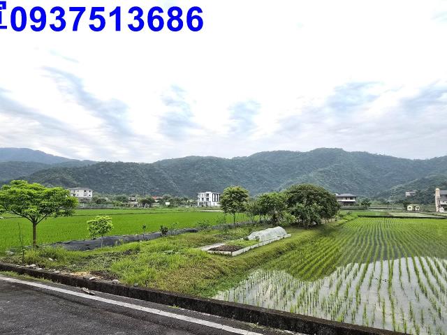 員山農地-8