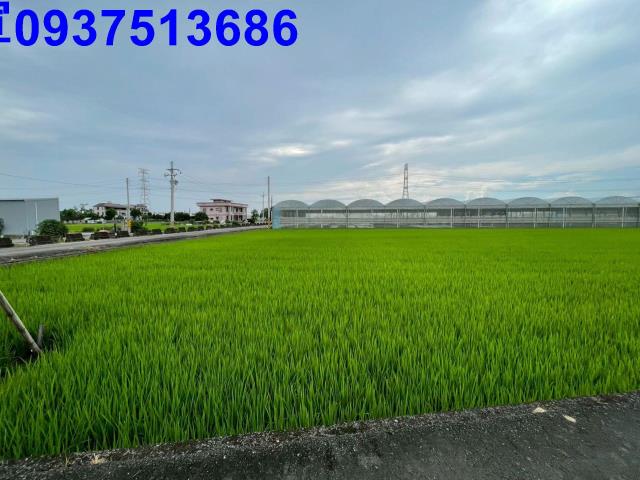 三星農地-5