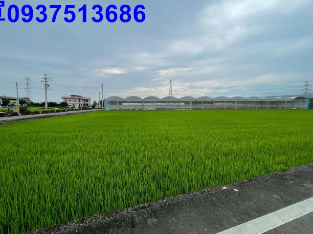 三星農地-6