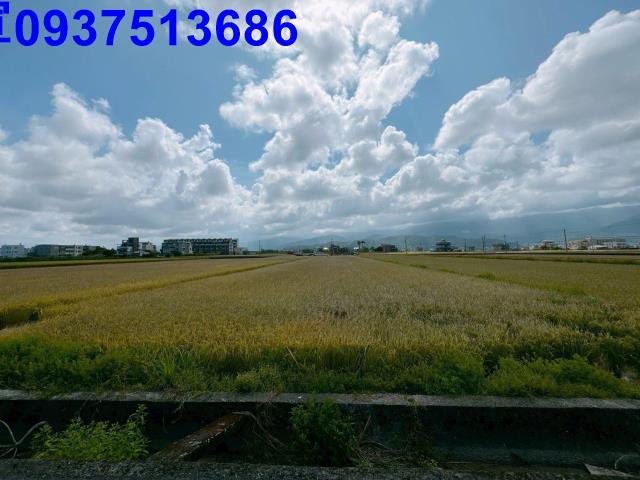 礁溪農地-8