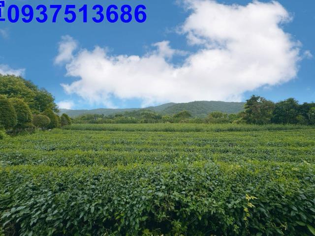 冬山農地-1