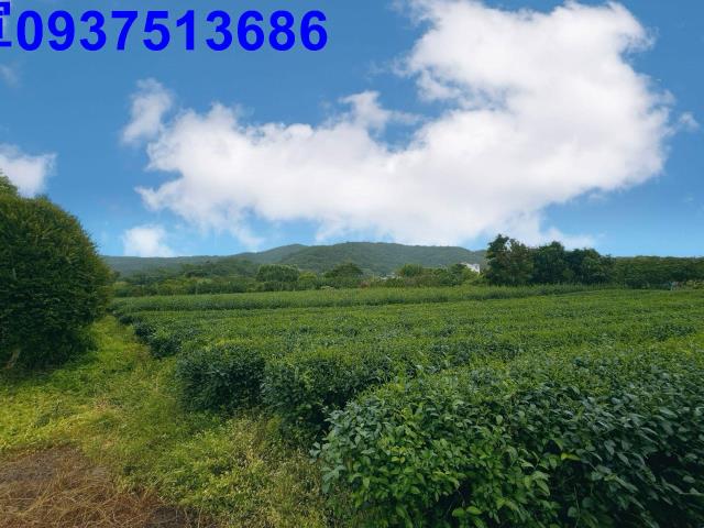 冬山農地-2