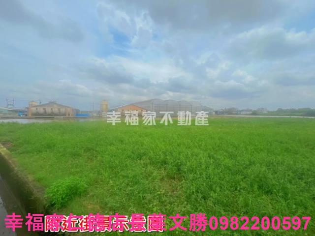 台南農地-4