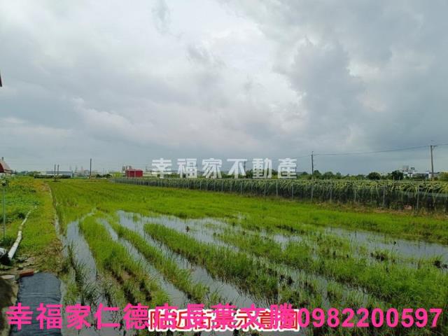 台南農地-11