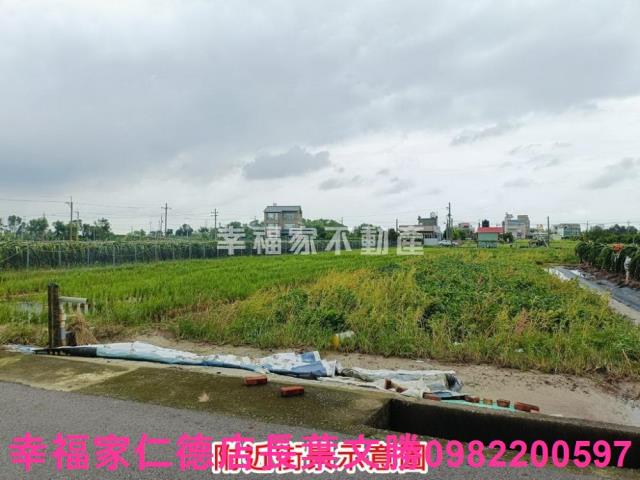 台南農地-3