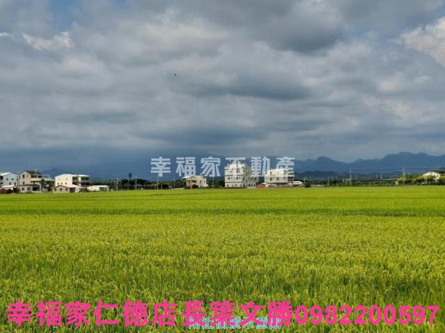台南農地-11