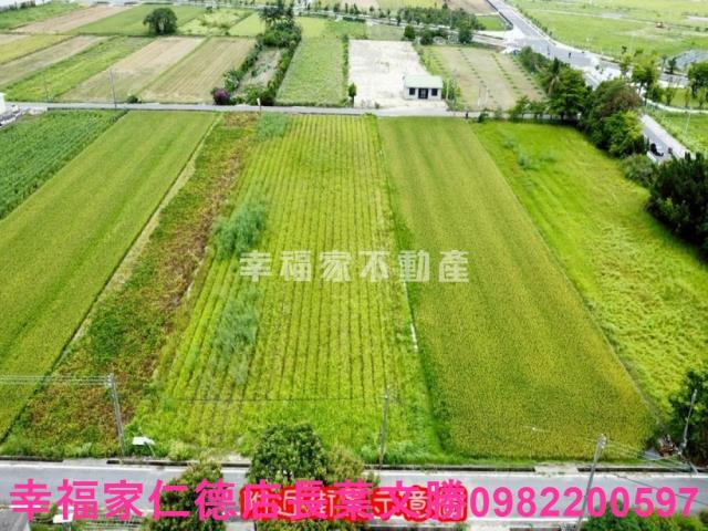 台南善化農地-13