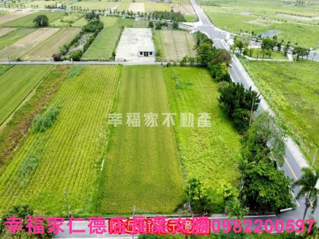 台南善化農地-8