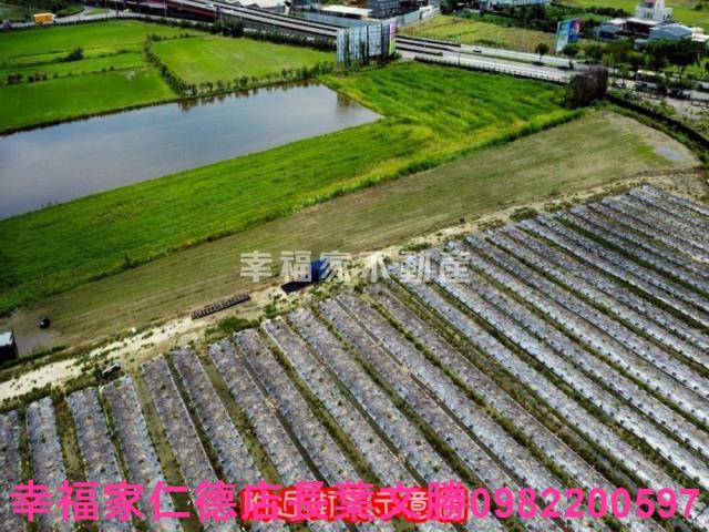 台南新市農地-8