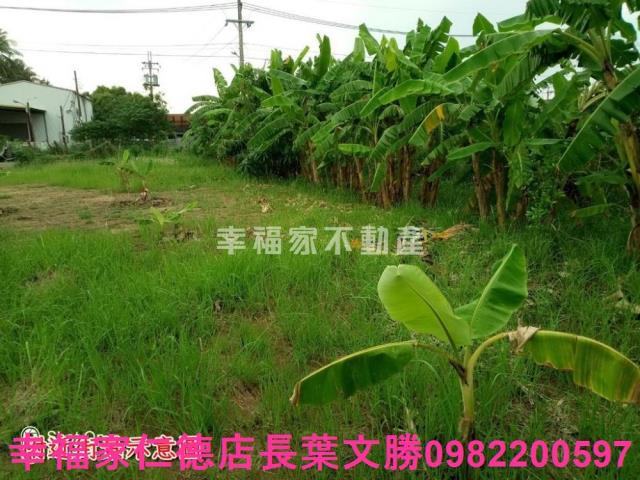 台南安南農地-0