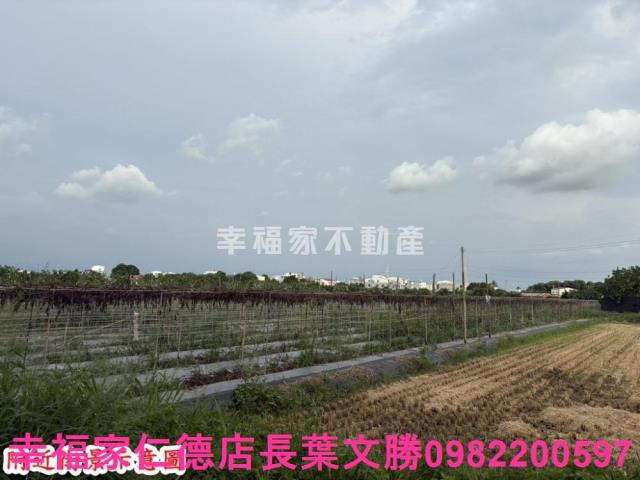 台南官田農地-9