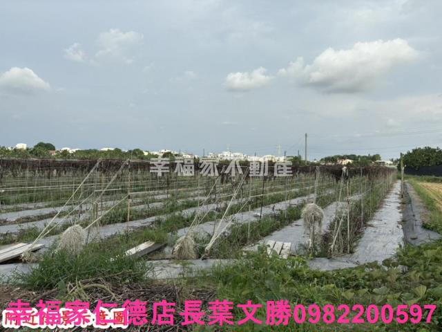 六甲區六甲段休閒都內農地