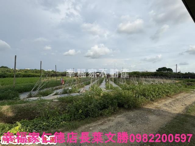 台南官田農地-2