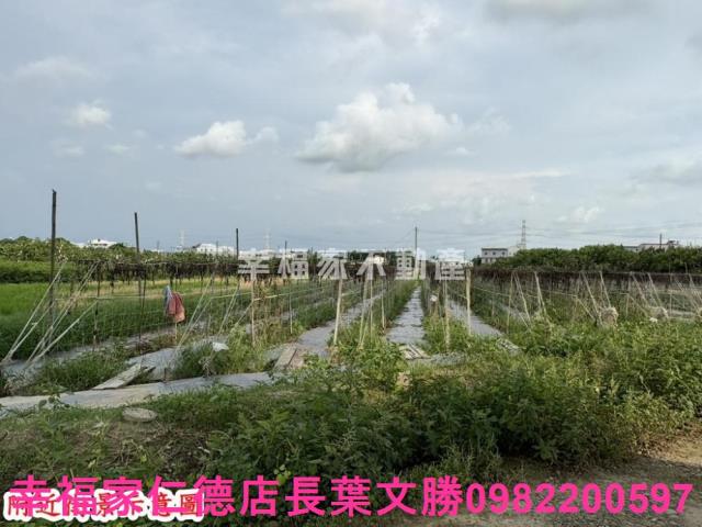 台南官田農地-3