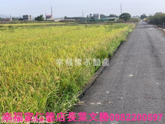 台南東山農地-4