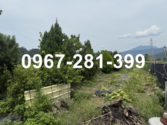 苗栗三灣農地-3