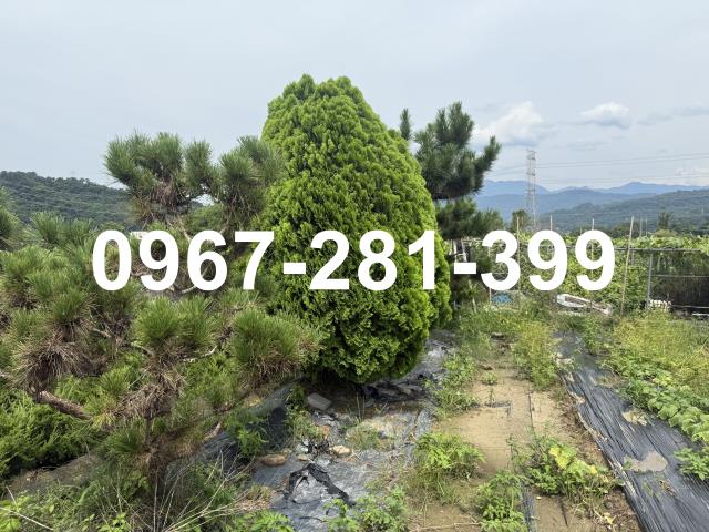 苗栗三灣農地-5