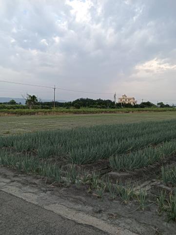 溪州農地-6