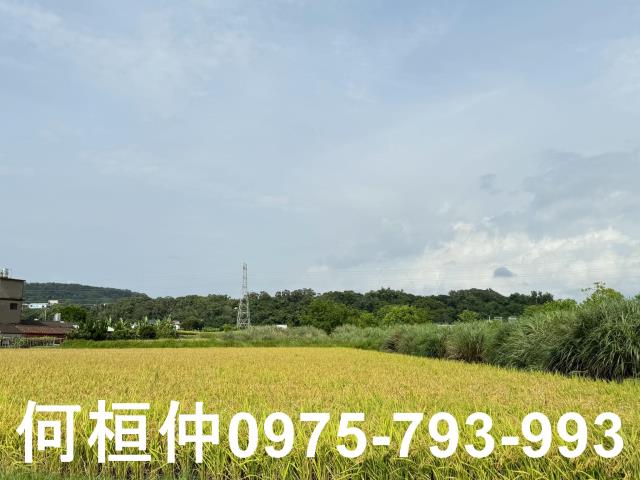 苗栗頭份農地-1