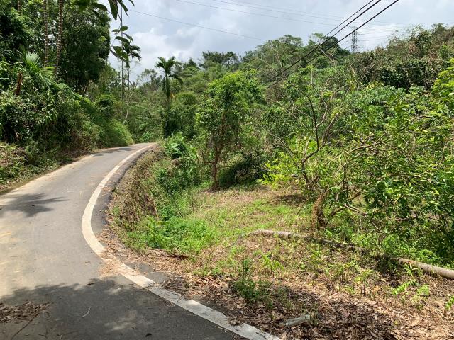 嘉義竹崎農地-0