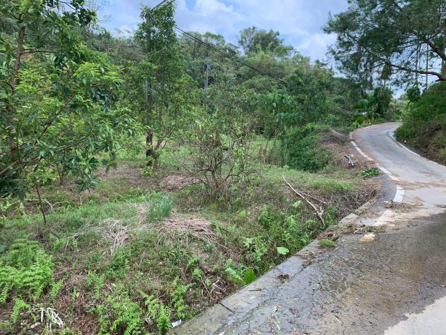 嘉義竹崎農地-1