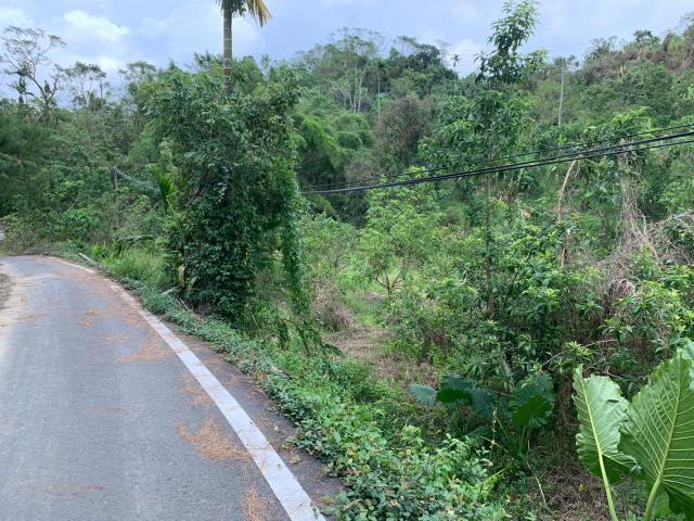 嘉義竹崎農地-2