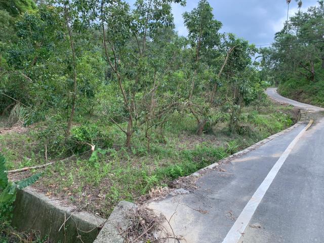 嘉義竹崎農地-4