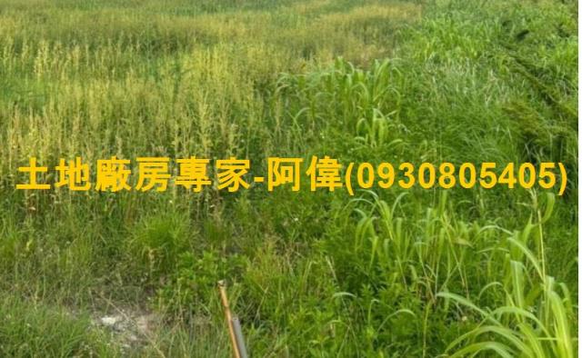 大寮農地-0