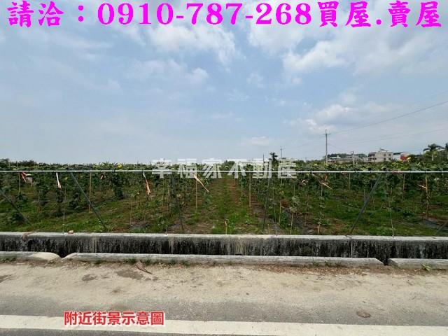 台南農地-5