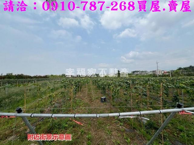 台南農地-6