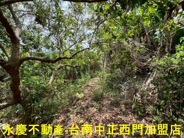台南東山農地-9