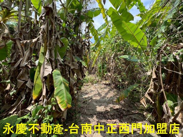 台南東山農地-10