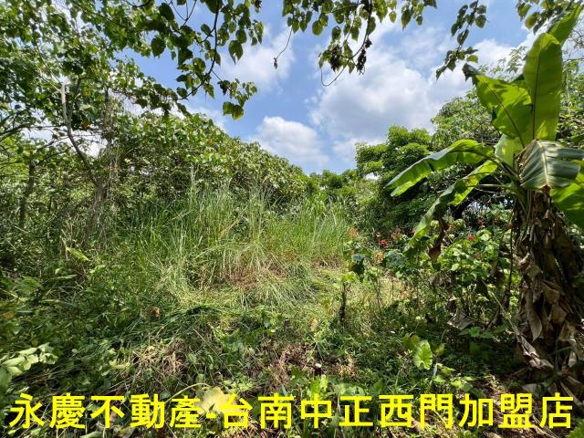 台南東山農地-11