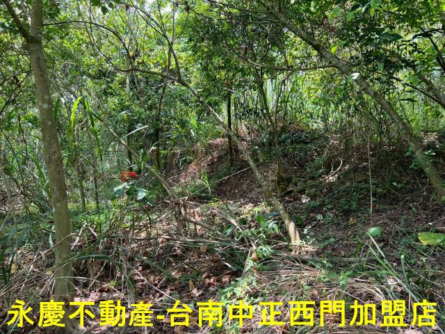 台南東山農地-0