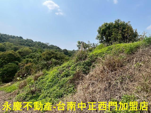 台南東山農地-4