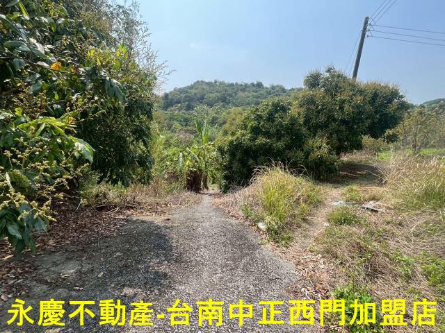 台南東山農地-5