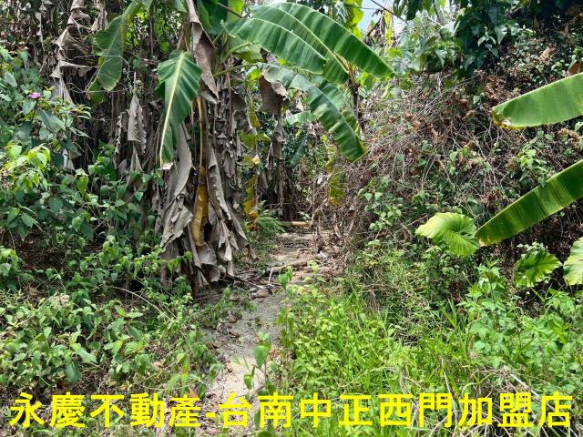 台南東山農地-6