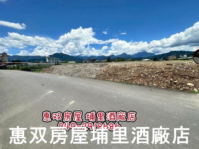 南投埔里農地-6