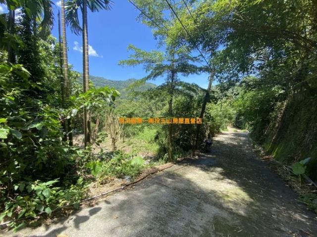 鹿谷農地-2