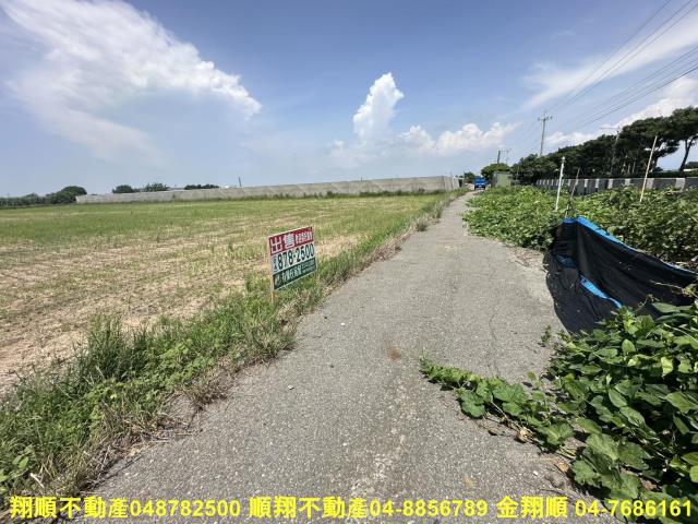 大城農地-1