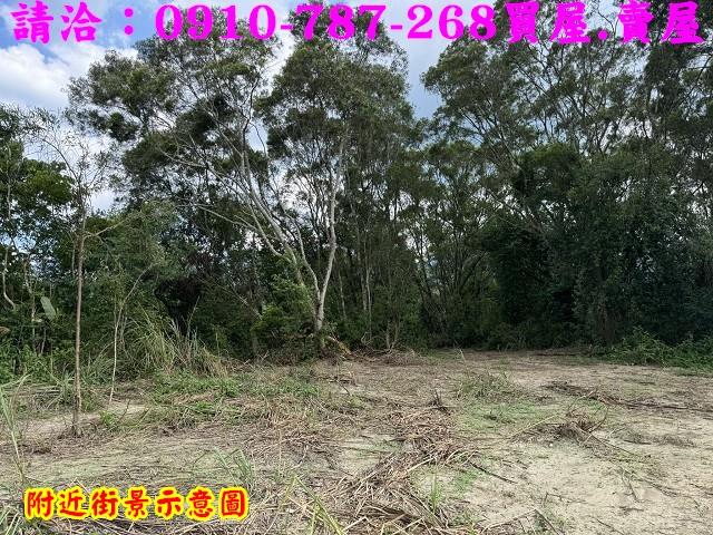 台南白河農地-9