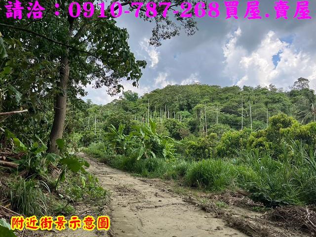 台南白河農地-10