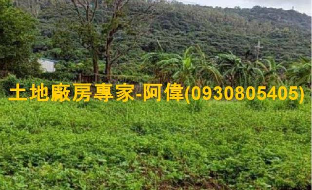 高雄阿蓮農地-0