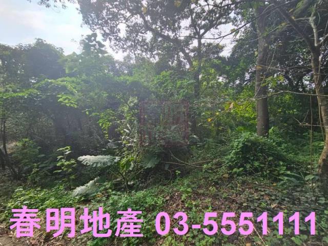 新竹芎林農地-3