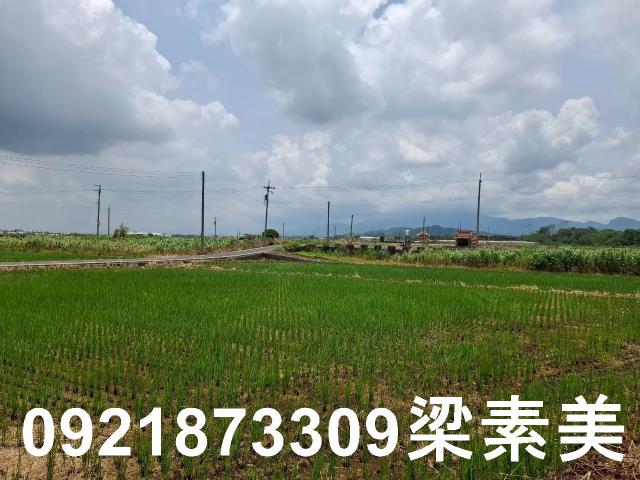 柳營農地-0