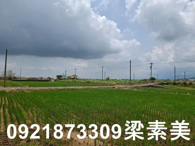 柳營農地-5