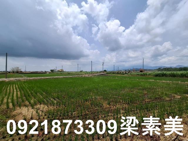 柳營農地-6