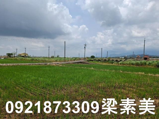 柳營農地-7