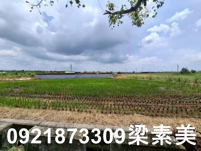 柳營農地-9