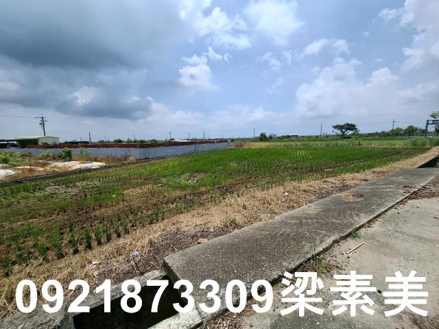 柳營農地-0